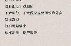 标书制作小姐姐姐,小姐姐的匠心独运与专业呈现